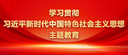 外国操逼毛片网站学习贯彻习近平新时代中国特色社会主义思想主题教育_fororder_ad-371X160(2)